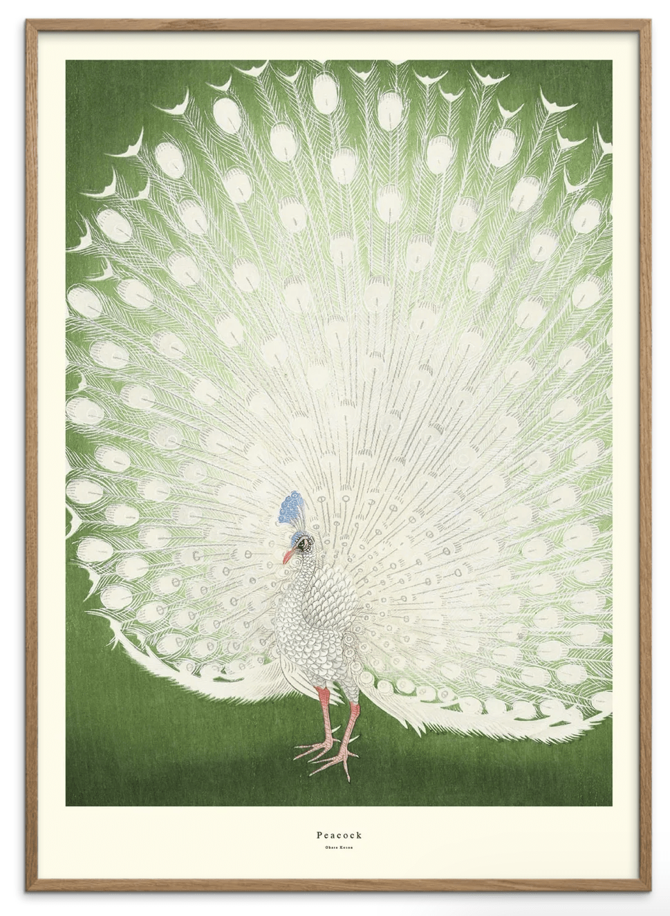 A.P. Atelier | Peacock - Urban nest