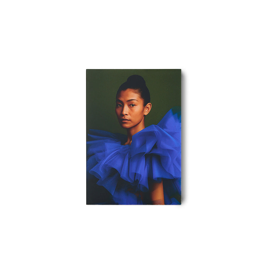 Plexi portrait, volt
