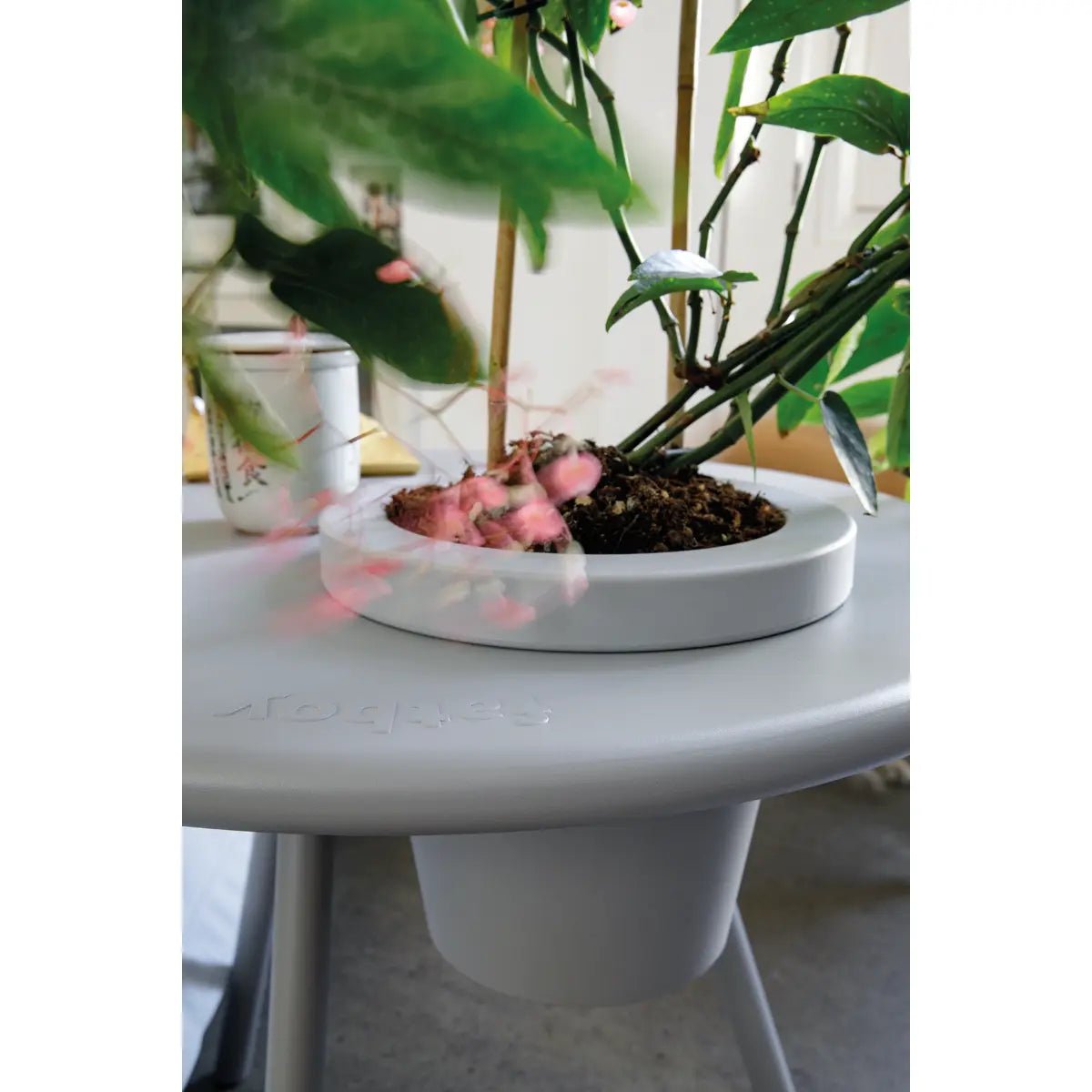 Bakkes side table - Urban nest