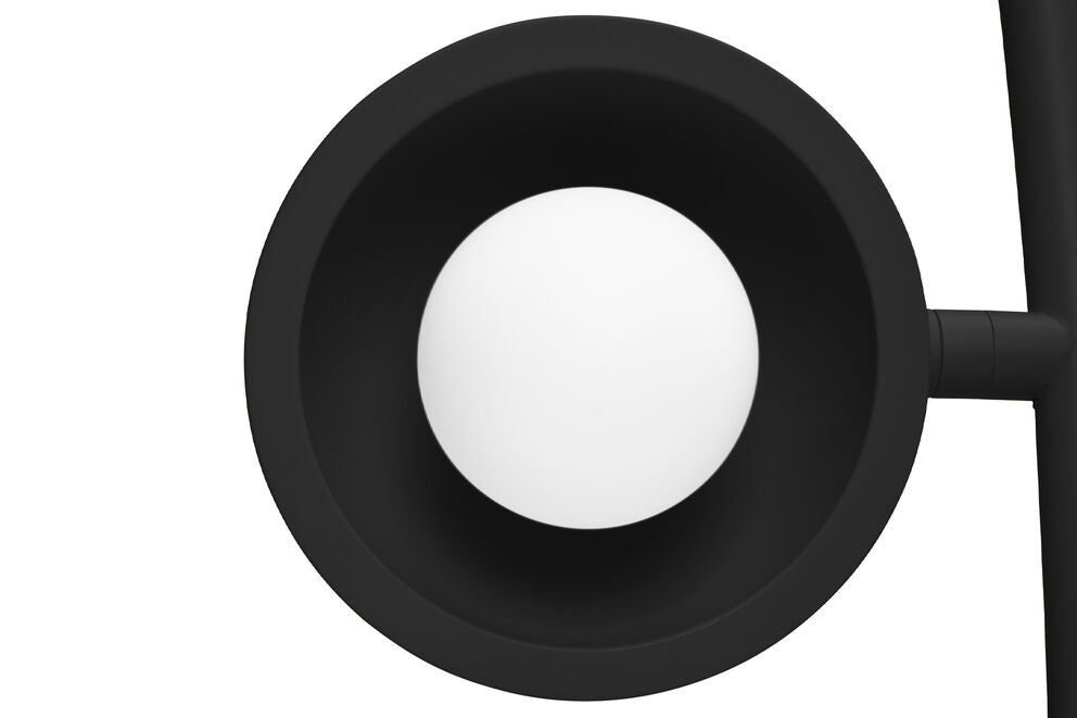 Big lebow - Urban nest