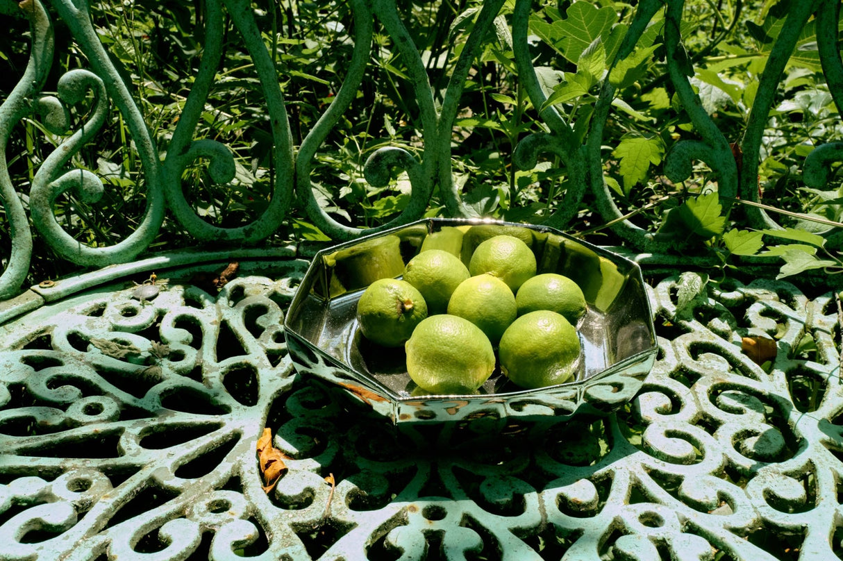 Chrome bowl - Urban nest
