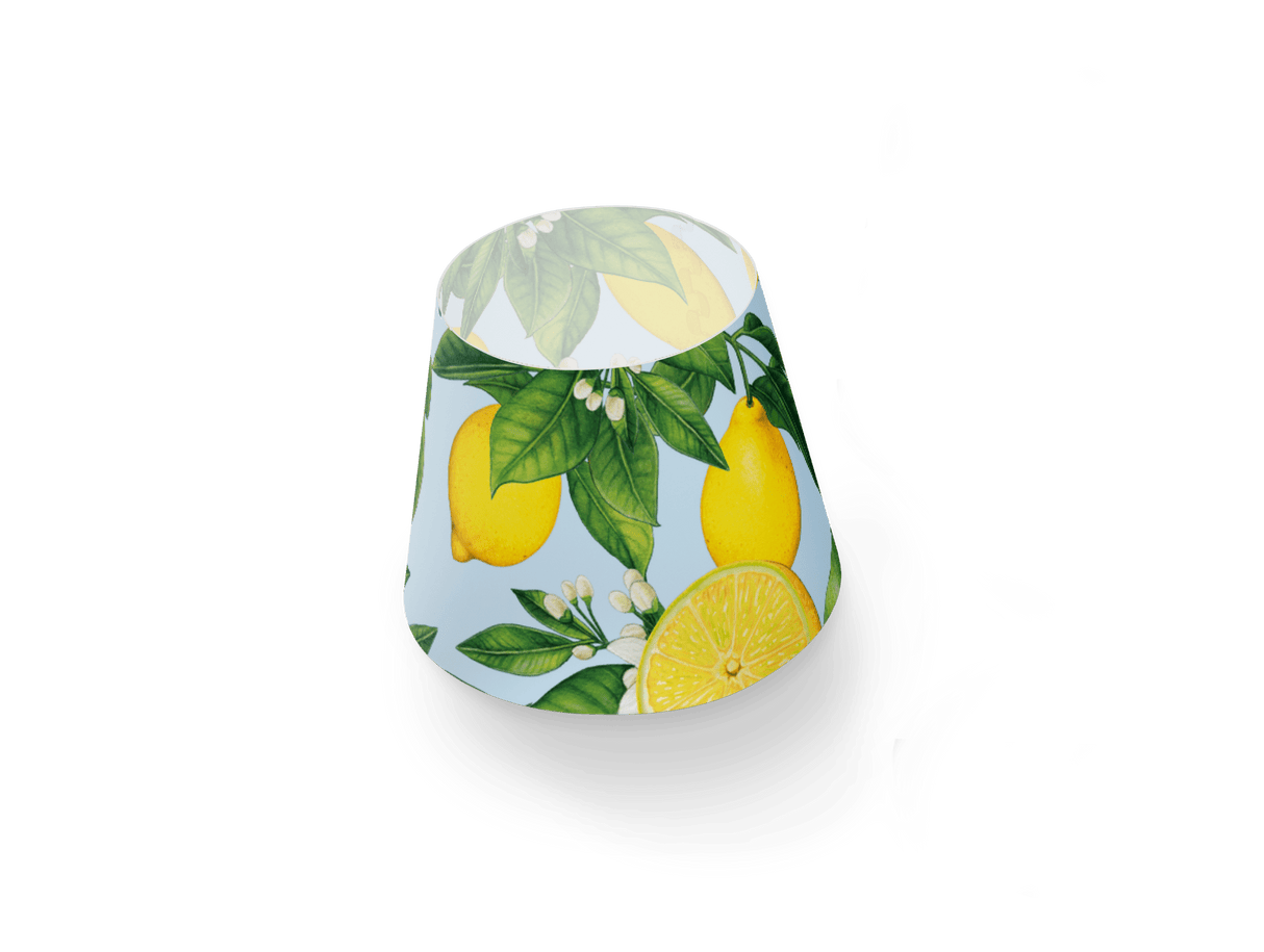 Cooper cappie lampshade for Edison the Petit - Urban nest