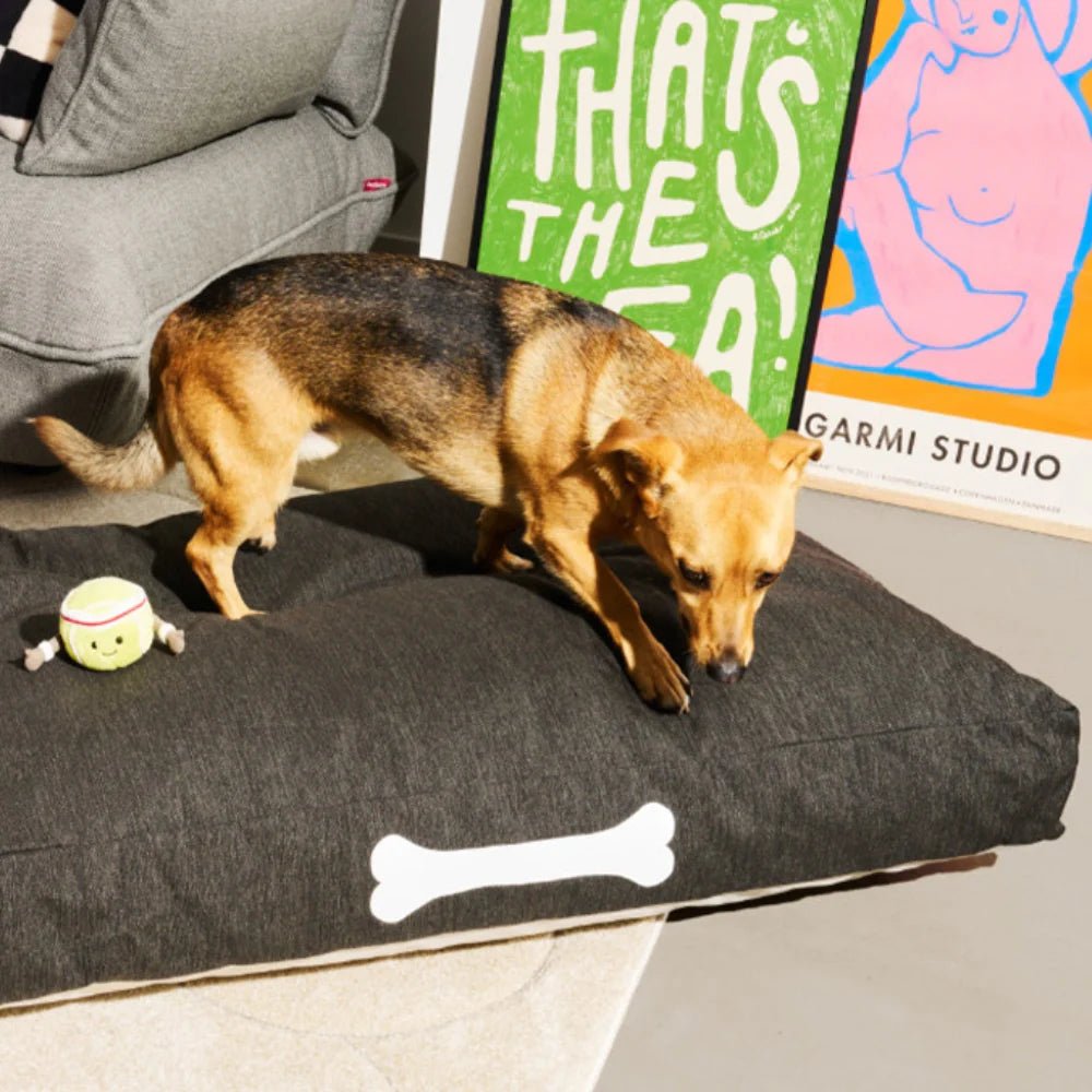 Doggie lounge - small - Urban nest