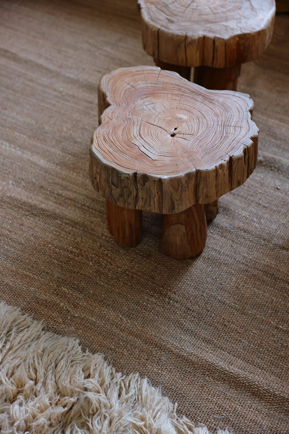 Log wooden stool - Urban nest