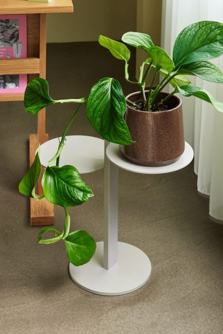 Platform side table - Urban Nest