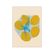 Rosi Feist | Five lemons in a net bag - Urban nest