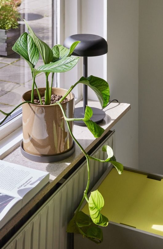Velo table lamp - Urban Nest