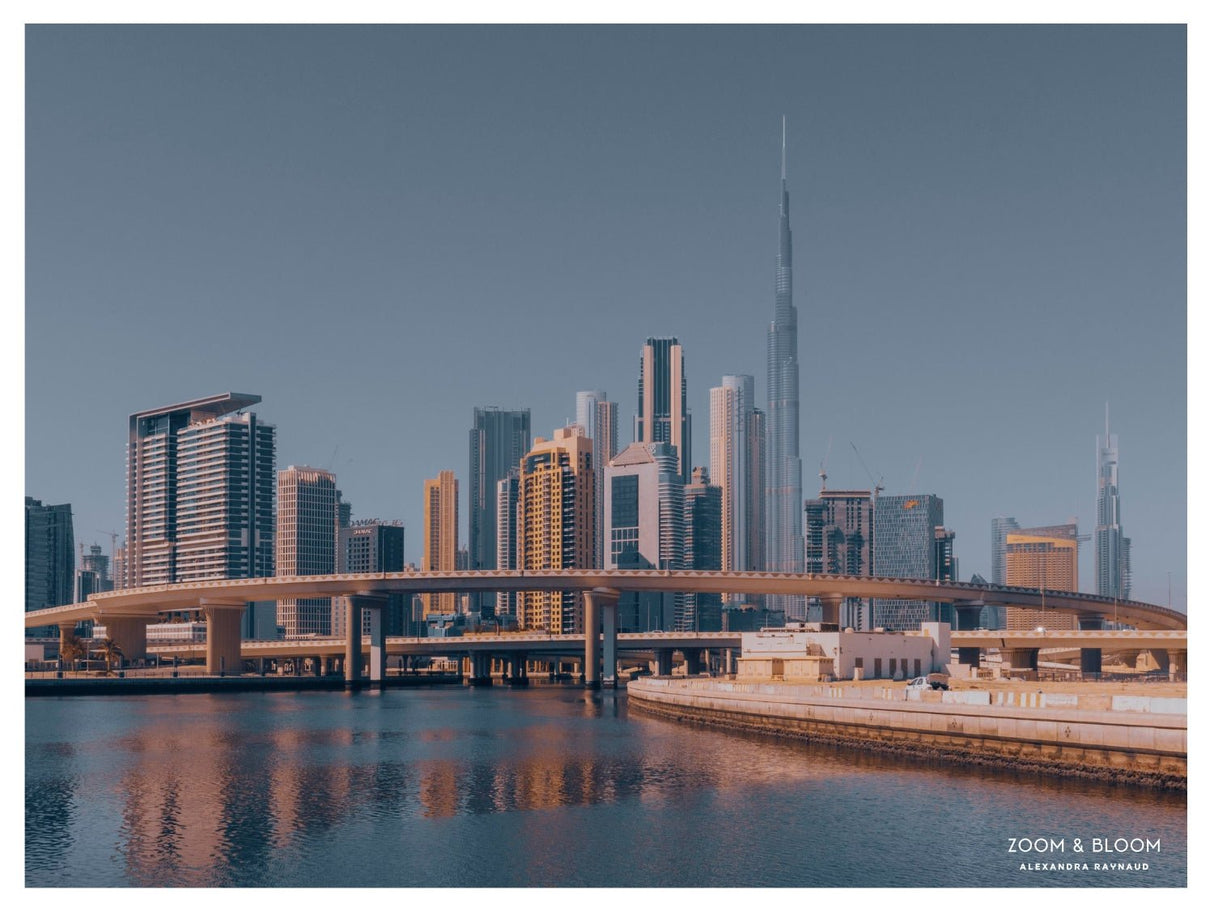 city lights - Urban Nest