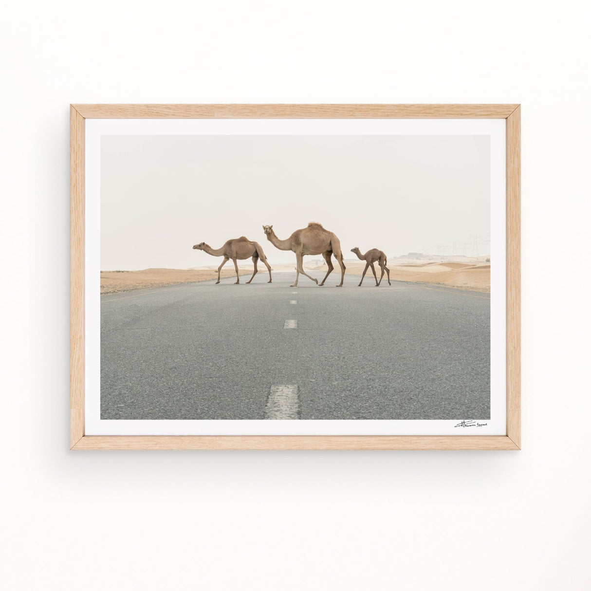 family trip - Urban Nest