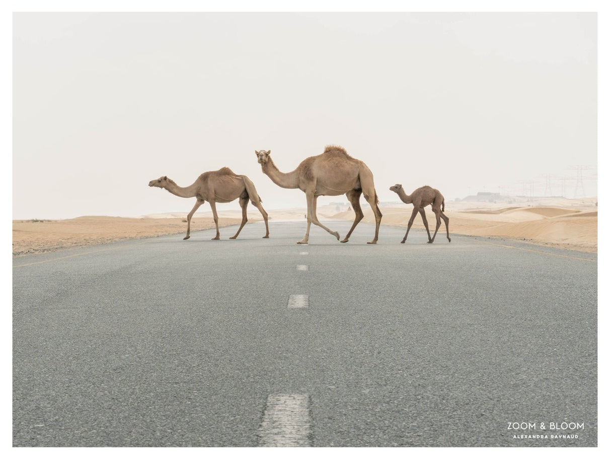 family trip - Urban Nest