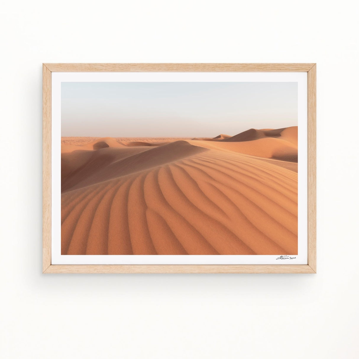 sunkissed - Urban Nest