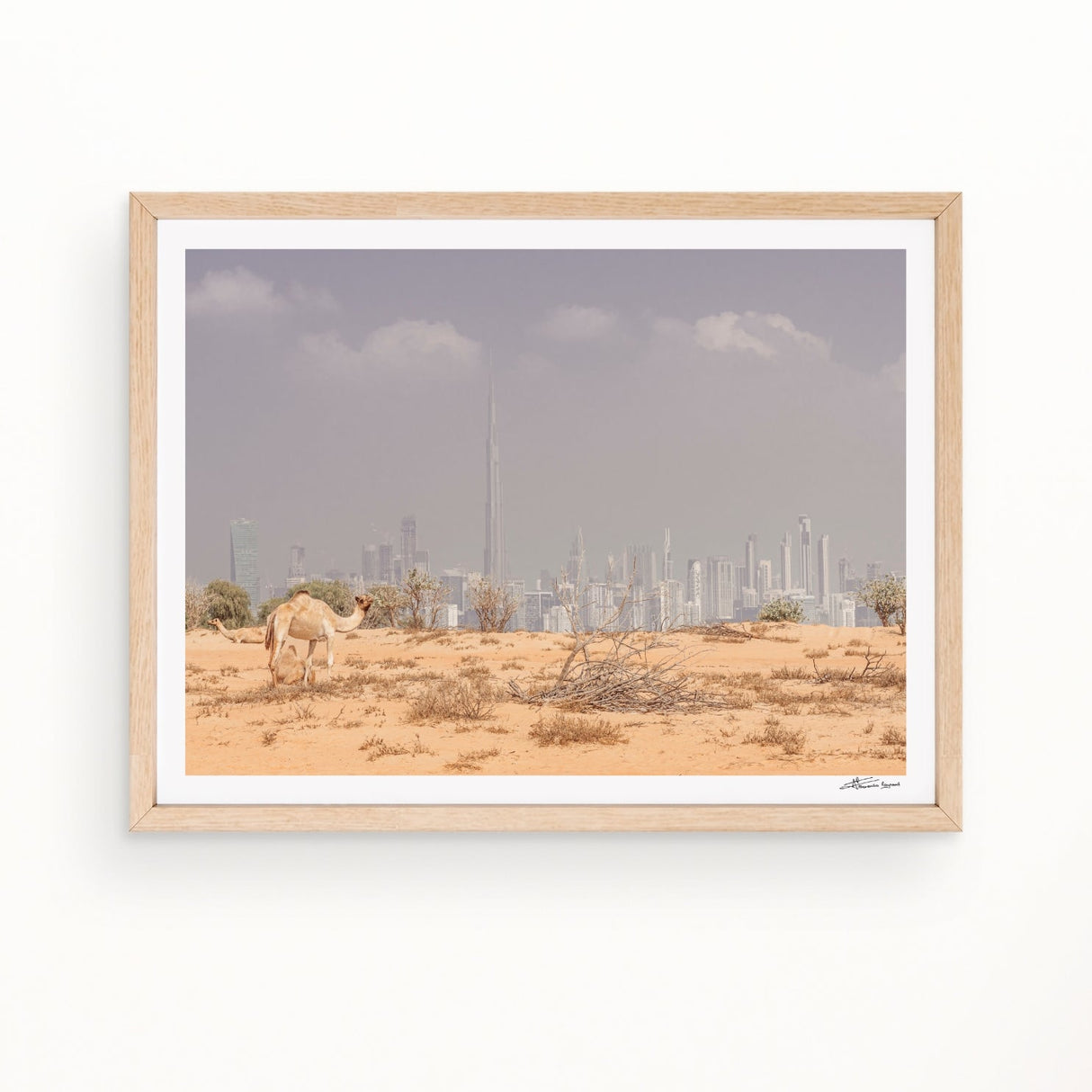 urban desert - Urban Nest