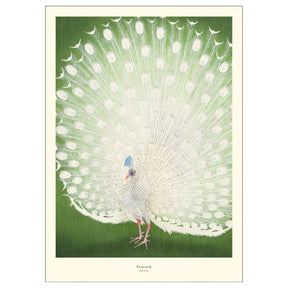 A.P. Atelier | Peacock - Urban nest