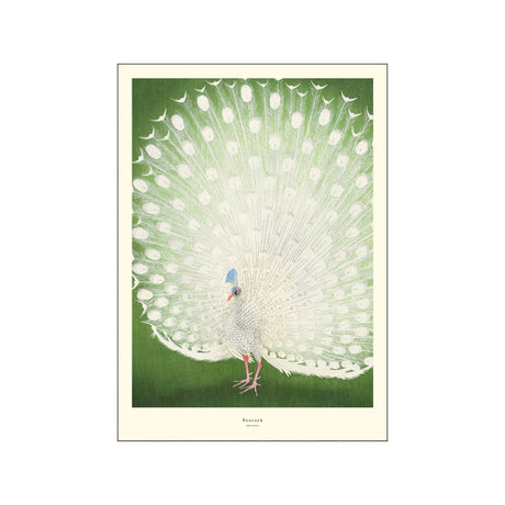 A.P. Atelier | Peacock in oak frame - Urban Nest