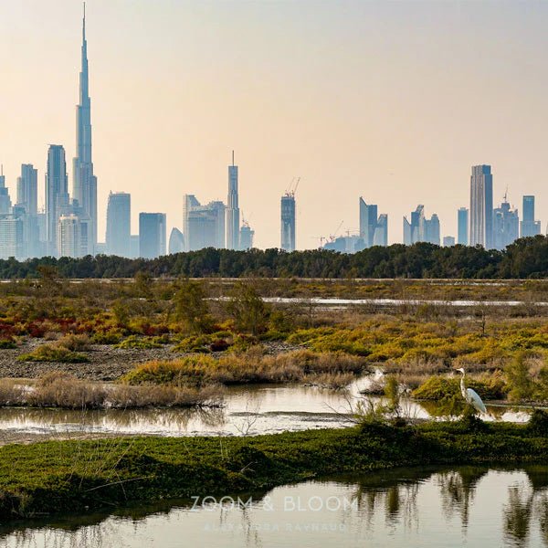 bare beauty - Urban nest