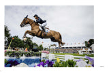 Book: an Illustrated history of equestrian sports - Urban Nest