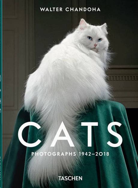 Book: cats photographs (1942-2018) - Urban Nest