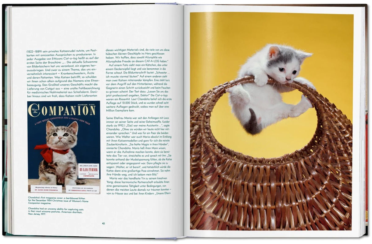 Book: cats photographs (1942-2018) - Urban Nest