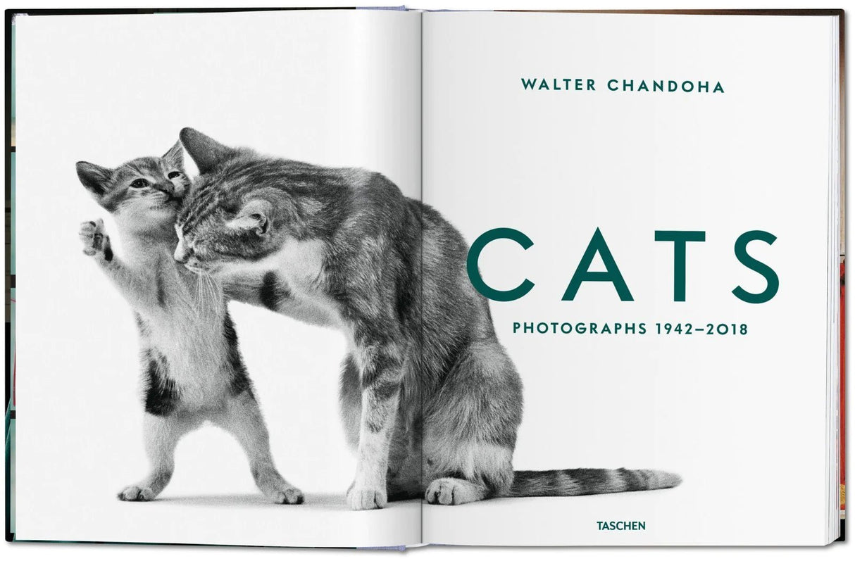 Book: cats photographs (1942-2018) - Urban Nest