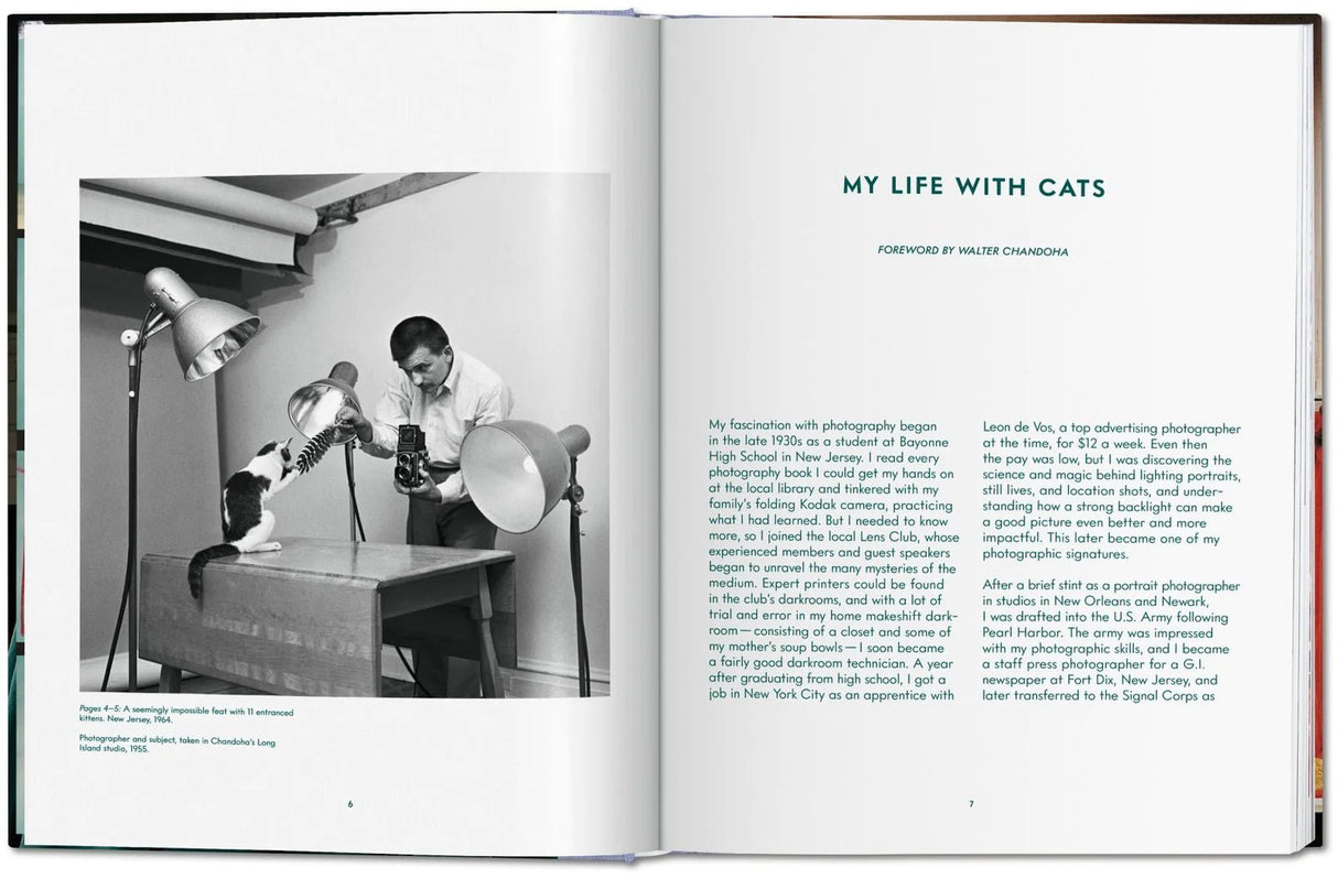 Book: cats photographs (1942-2018) - Urban Nest