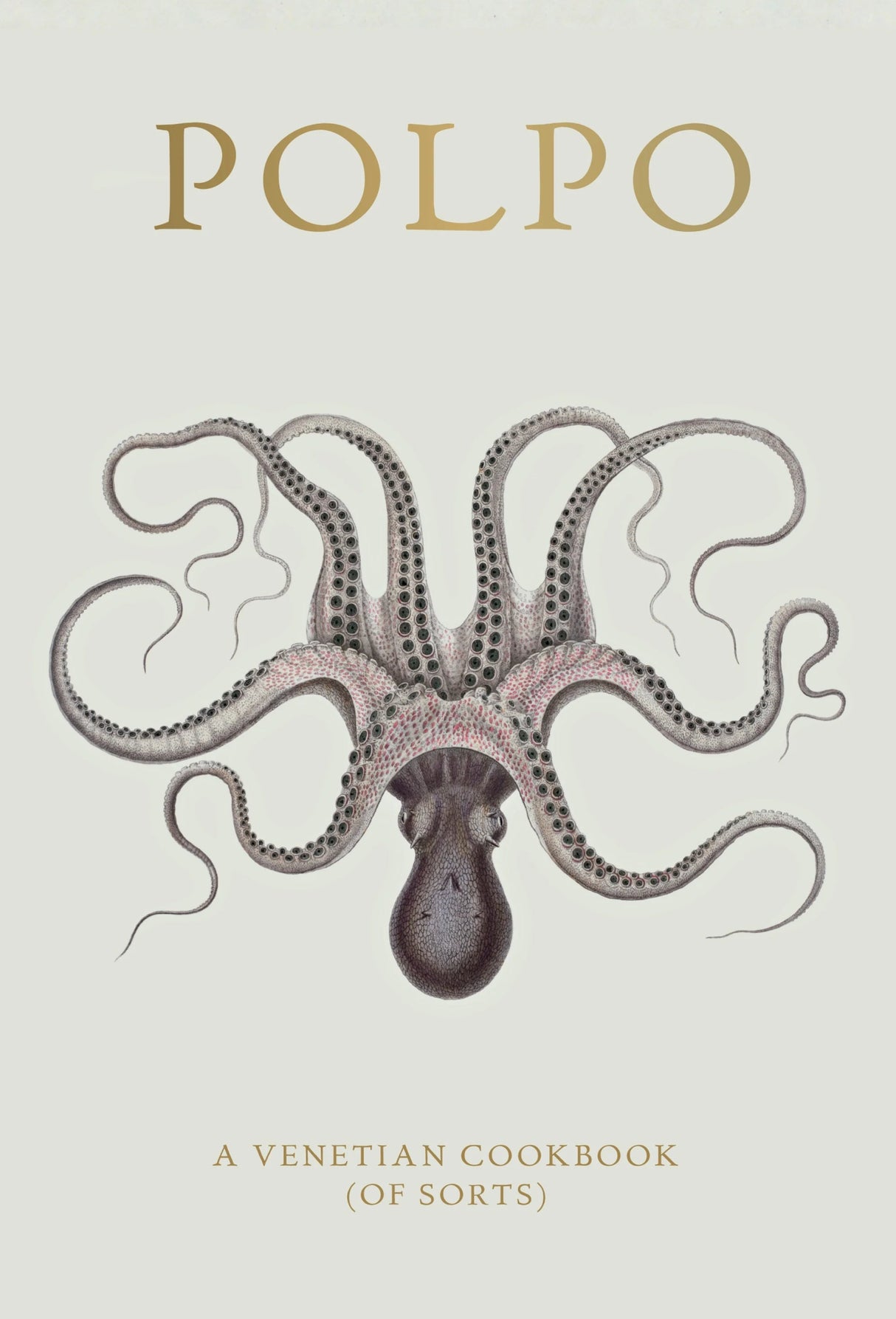 Book: polpo - Urban Nest