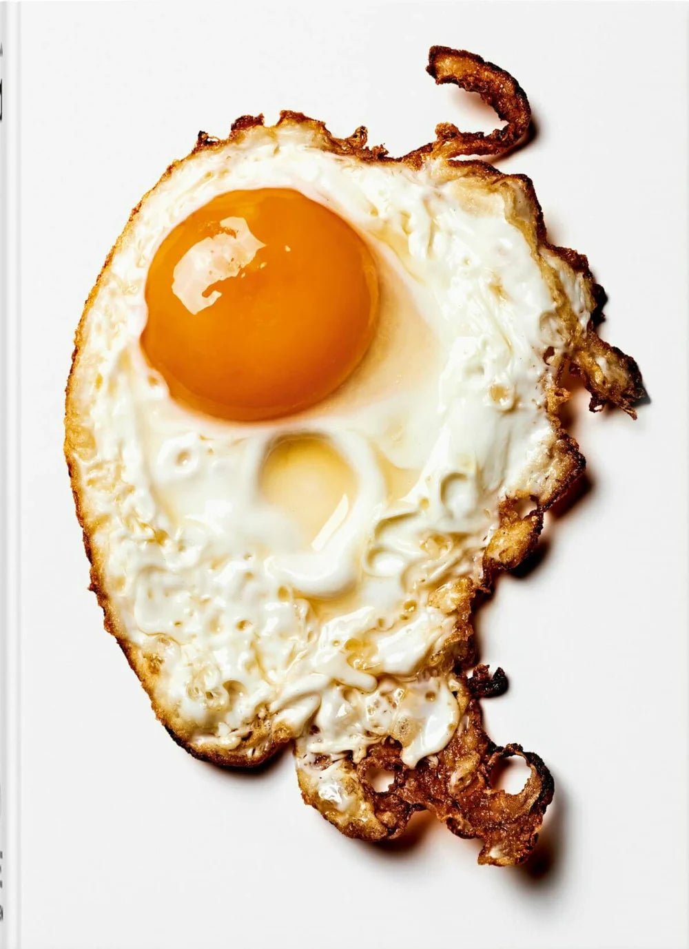 Book: the gourmand’s egg - a collection of stories & recipes - Urban Nest