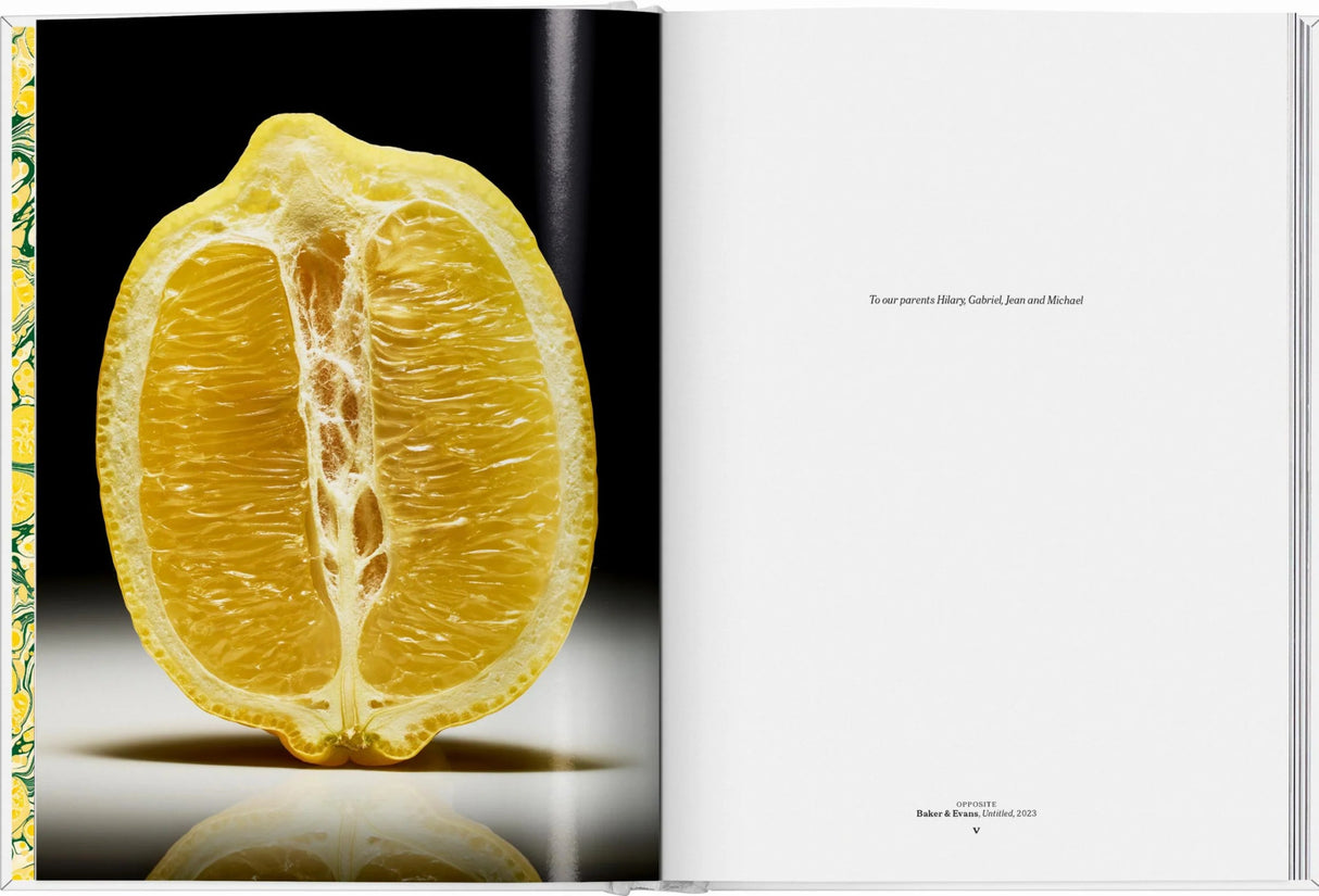 Book: the gourmand's lemon - a collection of stories and recipes - Urban Nest