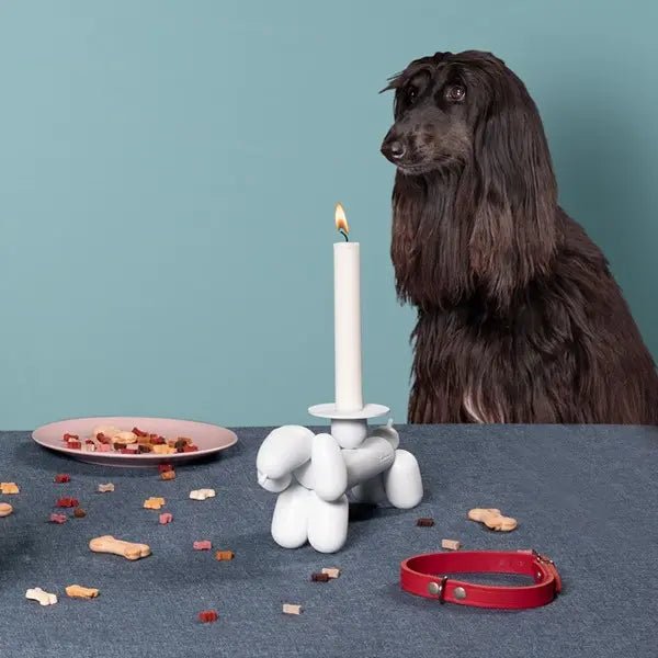 Can - Dog candle holder - Urban nest