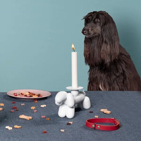 Can - Dog candle holder - Urban nest