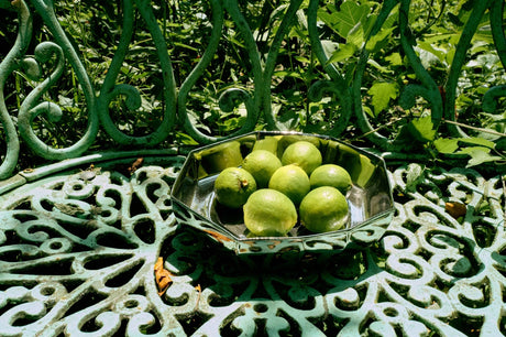 Chrome bowl - Urban nest