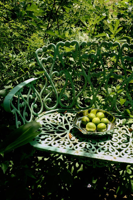 Chrome bowl - Urban nest