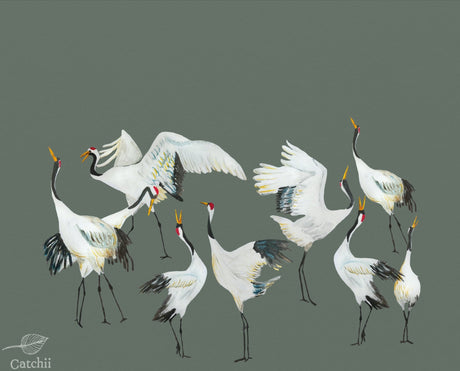 Crane dance wallpaper - Urban nest