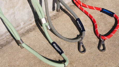 Dopper cord - Urban nest