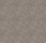 Rocky Leopard Wallpaper - Urban nest