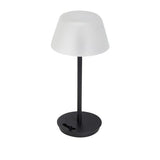 Salon table lamp