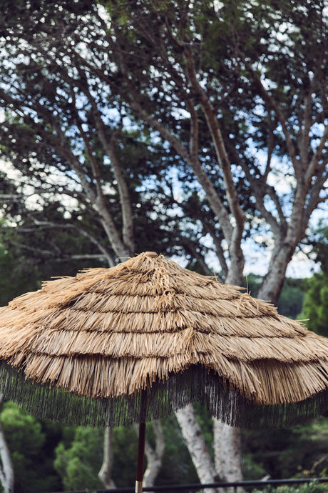 Serengeti umbrella - Urban nest