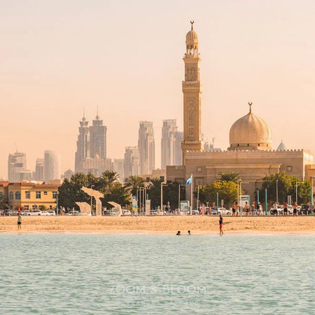 sunday morning - Urban nest