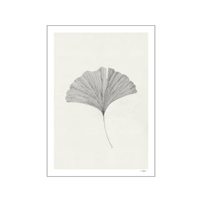 The Poster Club x Ana Frois| Grinkgo leaf - Urban nest