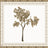 Wondering peacock in orange tree wallpaper - Urban nest