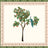 Wondering peacock in orange tree wallpaper - Urban nest
