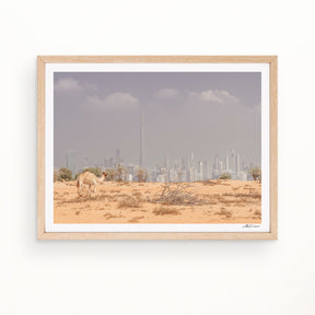 urban desert - Urban Nest